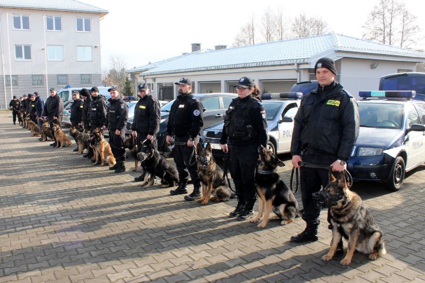 Na ternie PUK Areny odbyły się szkolenia policyjnych psów z całego województwa