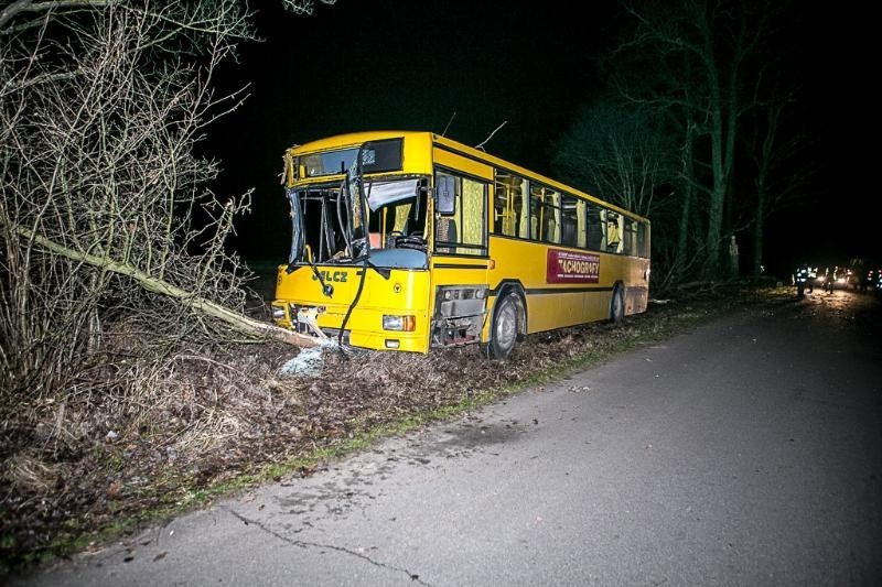 Wypadek autobusu z dziećmi
