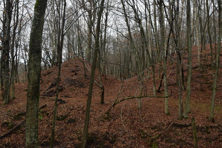 Miastko dawniej i dziś - wystawa w Bad Fallingbostel. Wyślij swoje zdjęcia (FOTO)