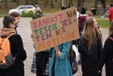 W piątek młodzież wyjdzie na ulice Rzeszowa. Będzie strajkować przeciw bierności rządu wobec kryzysu klimatycznego