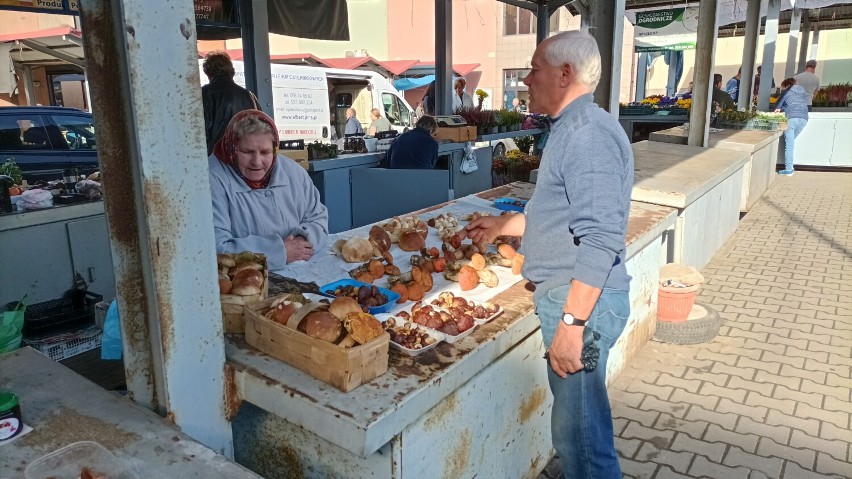 Wysyp grzybów na Placu Targowym Gazaris w Bochni