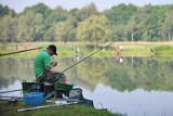 Będzie zakaz łowienia na zanętę na Zalewie Sulejowskim? Czy to ograniczy sinice?