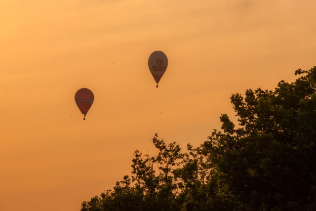 Święto Województwa w Toruniu. Gdzie oglądać II Regionalną Fiestę Balonową?