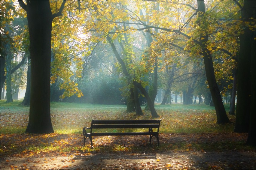 Park Solankowy jesienią [zdjęcia]