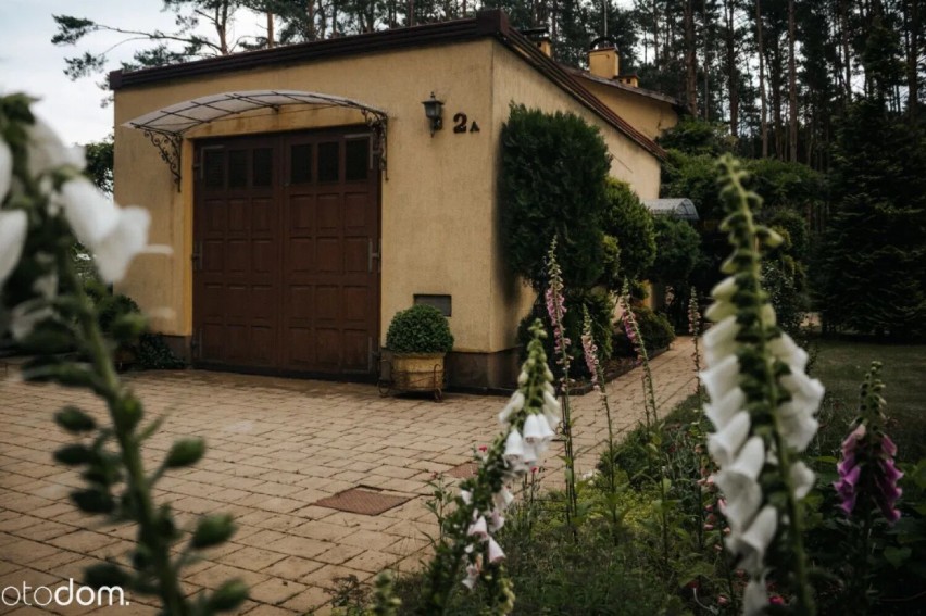 Piękna posiadłość w środku lasu - to najdroższy dom do kupienia w pow. lublinieckim. Zobacz ZDJĘCIA