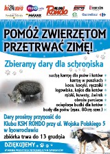 Zbiórka darów dla bezdomnych zwierząt w Inowrocławiu. Między innymi karmę, koce i budy dla psów można przynosić do Klubu KSM "Rondo"