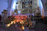 Boże Narodzenie 2019. Szopki bożonarodzeniowe w pomorskich kościołach. Tak udekorowano parafie na święta 
