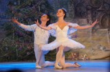 „Dziadek do orzechów” Royal Lviv Ballet w MDK w Radomsku [ZDJĘCIA]