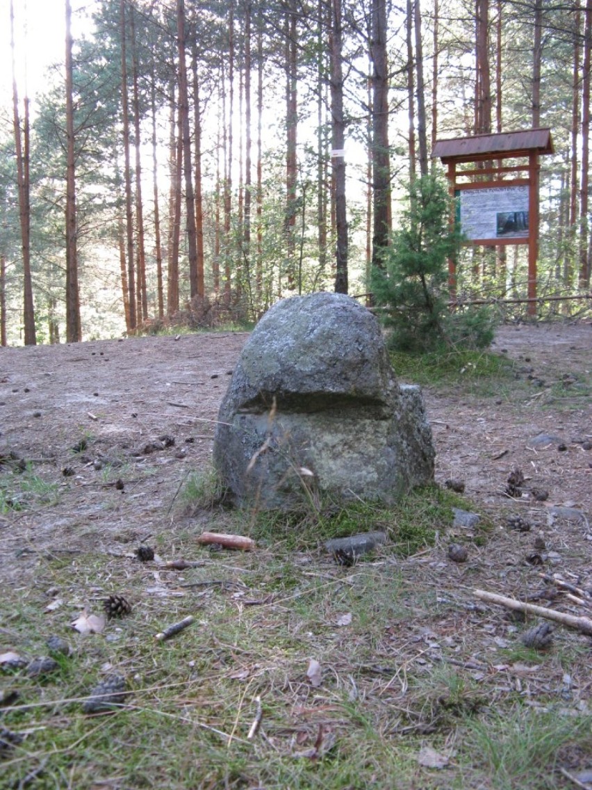 Nadleśnictwo Lipusz odwołało zakaz wejścia do rezerwatu archeologicznego Kamienne Kręgi w Węsiorach 
