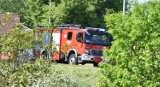 W gminie Nowy Staw wypadek motocyklisty, w Malborku pożary samochodów. Tygodniowy raport Komendy Powiatowej PSP 