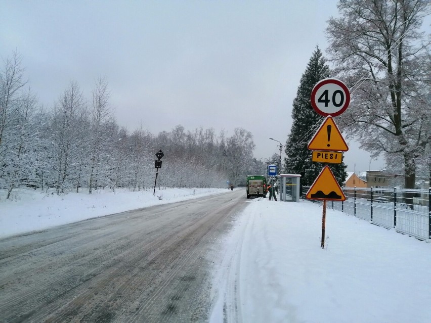 Znów poprószy śnieg. Prognoza na długi styczniowy weekend w Zduńskiej Woli