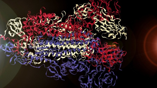 Każdemu aminokwasowi COVID-19 została przypisana nuta, w rezultacie jego budowa ułożyła się w prawdziwą partyturę. Zawarta w niej melodia została odtworzona przy użyciu koto – tradycyjnego japońskiego instrumentu o delikatnym brzmieniu. Jego struny wydają charakterystyczne wibracje, co nawiązuje do drżenia białek wirusa.
