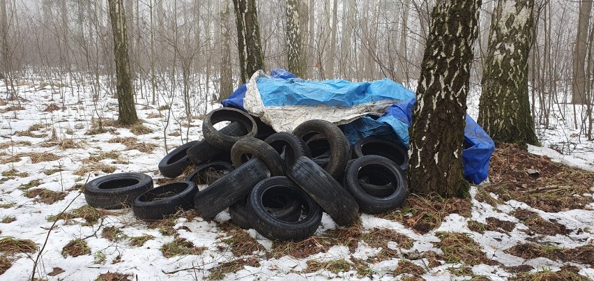 Ktoś porzucił opony na terenie parku w Świerklańcu. Zobacz...