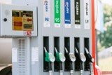Ceny paliw i gazu zamrożone do połowy 2023. Nowe przepisy korzystne dla konsumentów. Nowela podatku akcyzowego przegłosowana w Sejmie