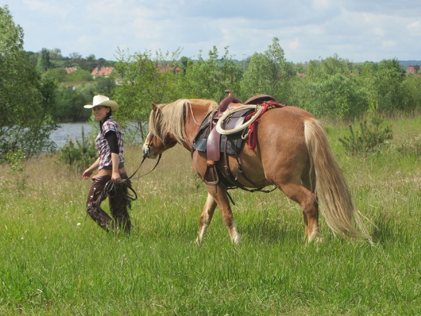 Agroturystyka w Wielkopolsce - Bolechówko

Traperska...