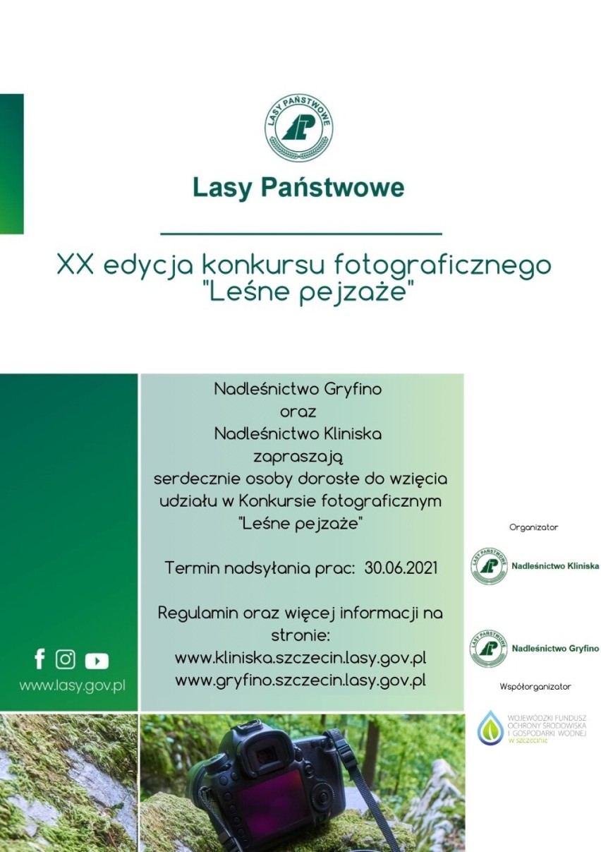 "Leśny" konkurs fotograficzny dla mieszkańców Goleniowa, Stargardu, Szczecina i nie tylko