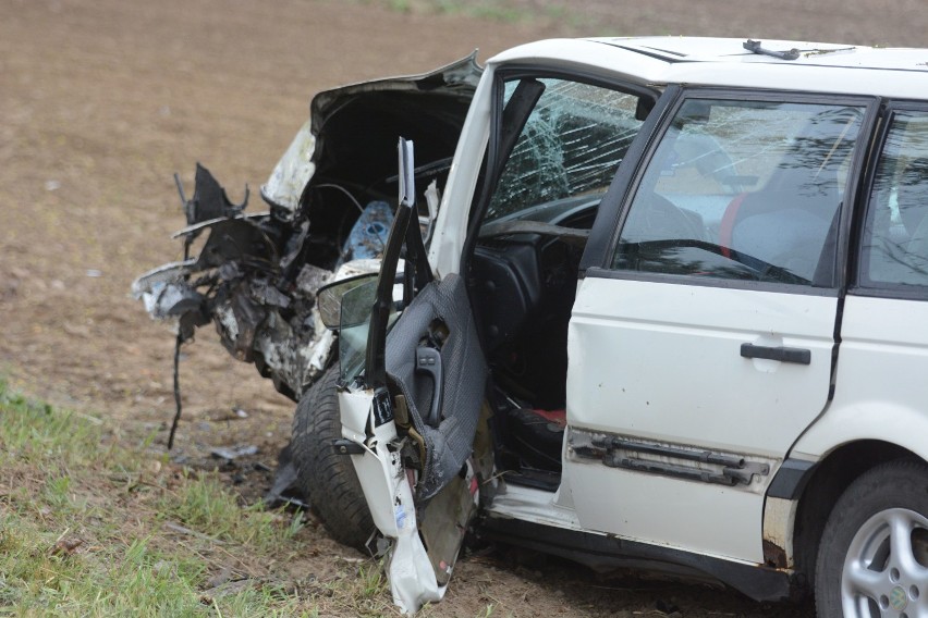 Wypadek w Rogóźnie. Samochód uderzył w drzewo. Kierowca był pijany [zdjęcia, wideo]