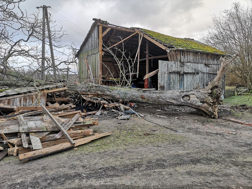 Zniszczenia w gminie Grzmiąca