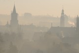 W miastach oddychamy śmieciami. Smog niszczy nasz organizm. Zielona Góra w 2019 wystawiła za mało mandatów, uważa radny Górski