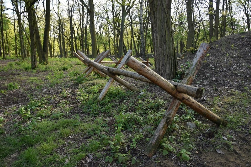 W piątek rusza noc muzeów. Ostatnie prace w parku Leśnym