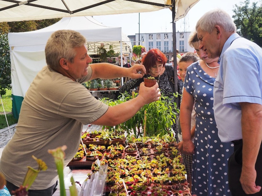 Są byliny, cebule kwiatowe, trawy, wrzosy, drzewka i krzewy...