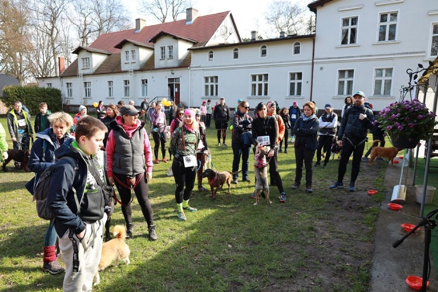 Wielkopolski Dogtrekking na Łęgach pod Śremem. Psia impreza...