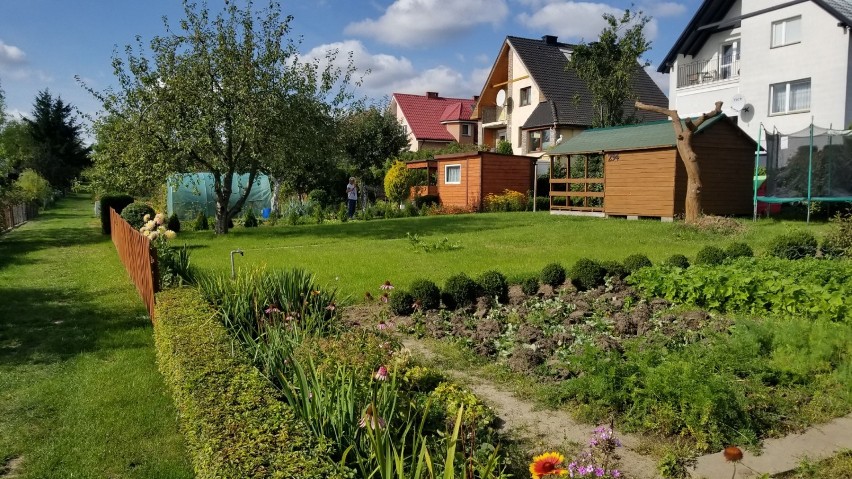 Boom na działki ogrodnicze w Pruszczu Gdańskim. Ceny kilkukrotnie wyższe niż pół roku temu przed pandemią