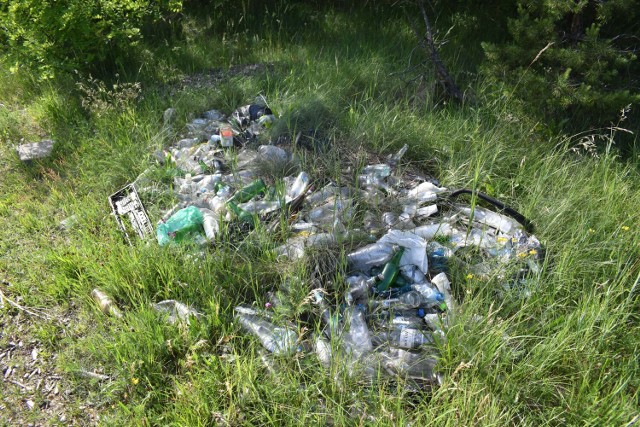 Śmieci na terenach zielonych przy torach w Olkuszu