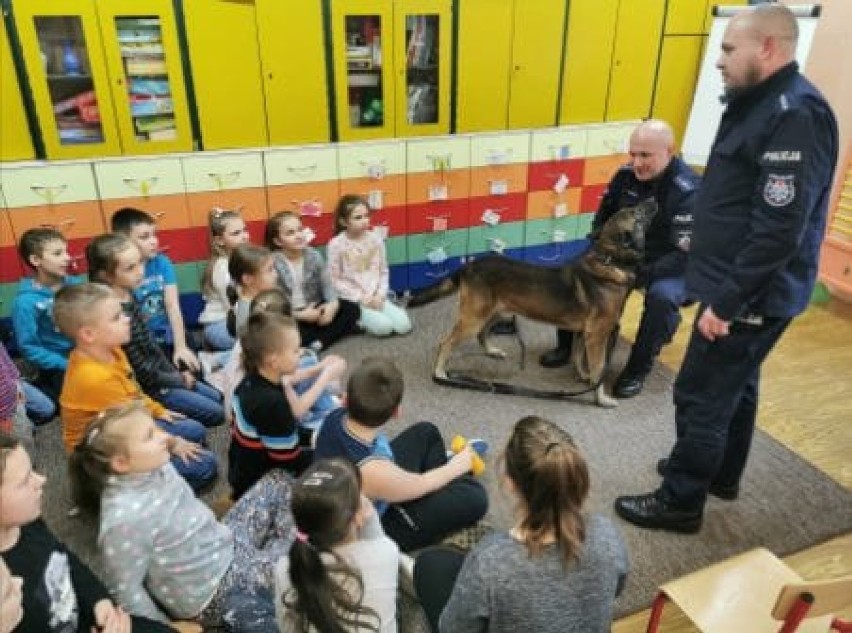 SP 4 Stargard. Wizyta czworonożnego policjanta Ergo