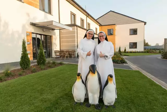 Dzień Pingwina w Domu Chłopaków w Broniszewicach. Siostry Dominikanki świętowały Dzień Pingwina. To była wyjątkowa historia z happy endem!