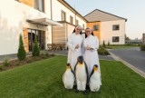 Światowy Dzień Pingwina w Domu Chłopaków w Broniszewicach. Siostry Dominikanki świętują. To była wyjątkowa historia z happy endem!