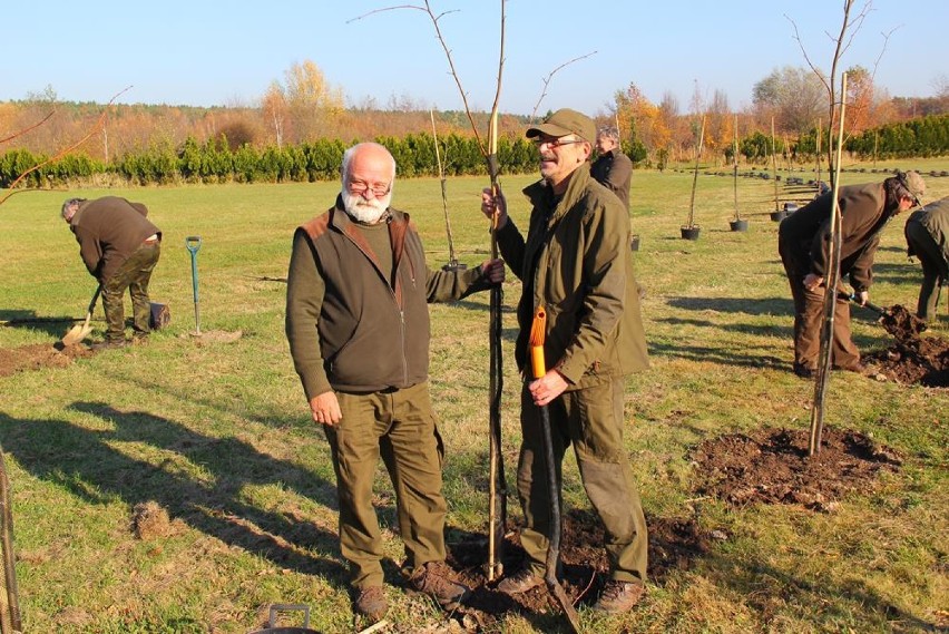 Nasi leśnicy zasadzili setkę lip w Arboretum Leśnym im. prof. Stefana Białoboka w Stradomi