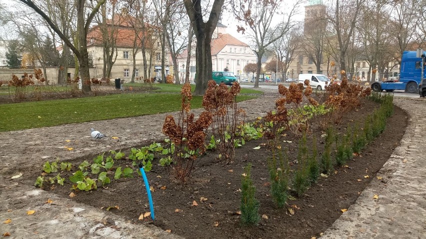 Tak skwer wyglądał przed akcją złodziei