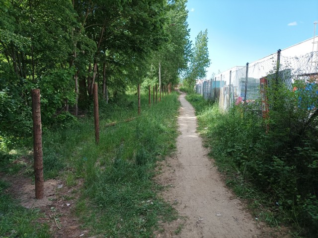 Słupy ogrodzeniowe przy terenie powojskowym przy Polnej w Szczecinku