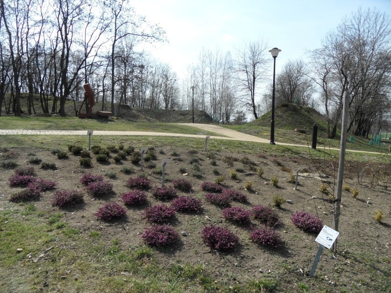 Mikołów: Wiosna w Centrum Edukacji Przyrodniczej i Ekologicznej Śląskiego Ogrodu Botanicznego