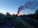 Pożar altany letniskowej na ogródkach działkowych w Wieluniu