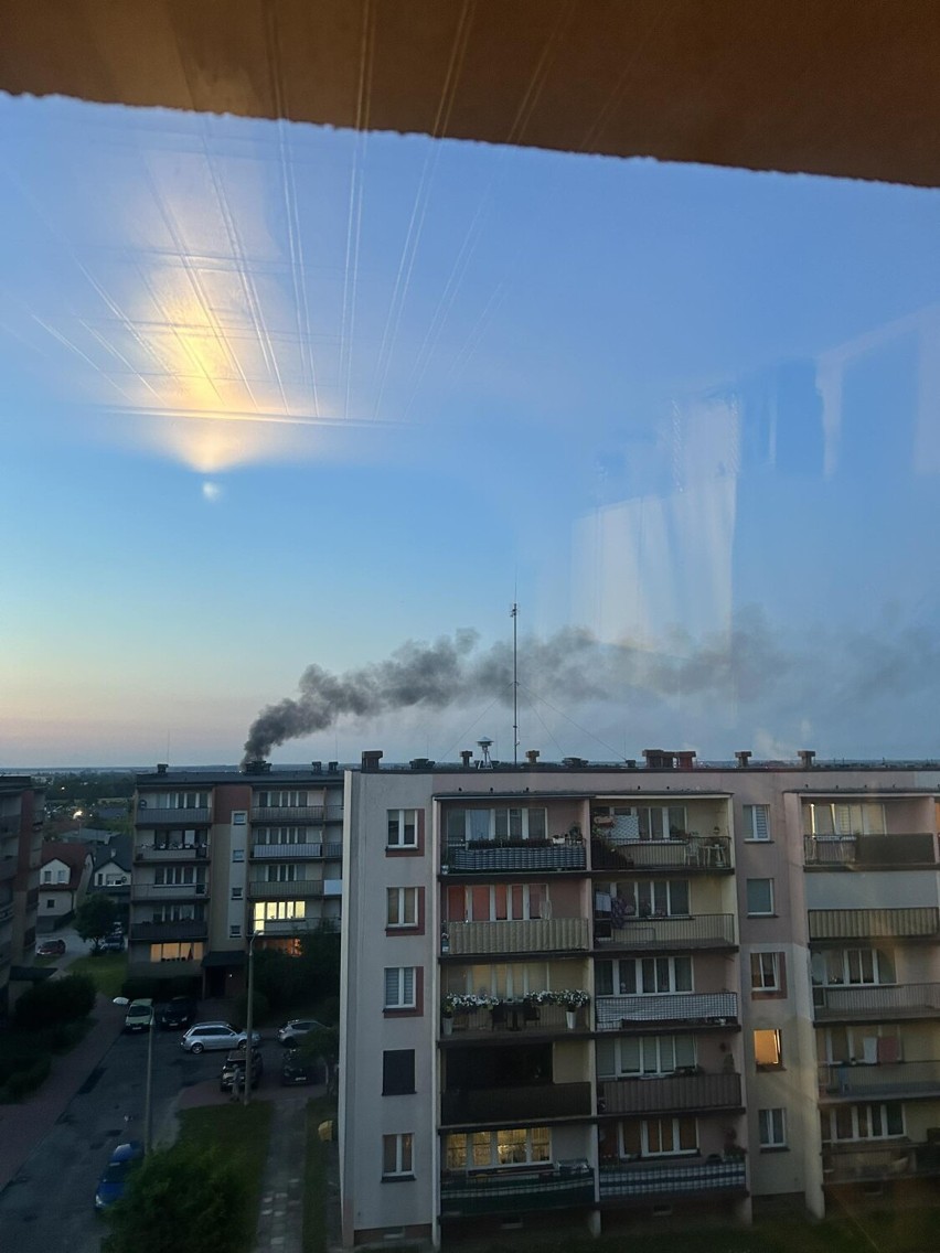 Pożar altany letniskowej na ogródkach działkowych w Wieluniu