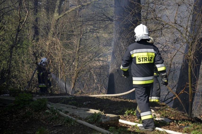 Głogów: Wielki pożar na Biechowie. Strażacy z całego powiatu walczą z ogniem. ZDJĘCIA I FILM Z AKCJI
