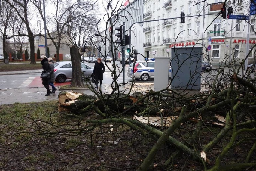 Niszczycielski wiatr w Śląskiem z siłą do 140 km/h! Zerwane dachy, powalone drzewa... ZDJĘCIA