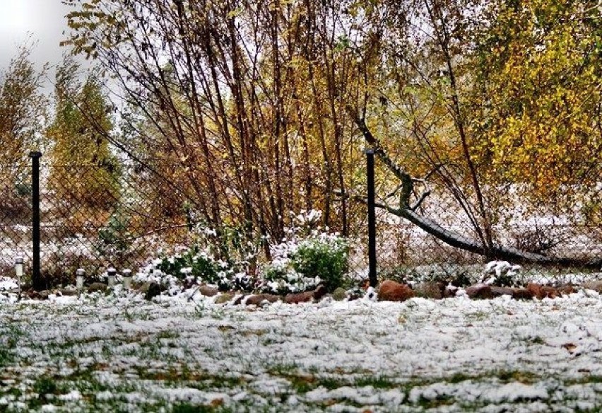 Okolice Pęczniewa w powiecie poddębickim.fot. Mariusz...