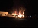 "To było podpalenie" - nie mają wątpliwości strażacy mówiąc o nocnym pożarze autobusów pod Bydgoszczą [zdjęcia]