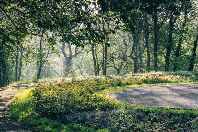 Park im. Marszałka Edwarda Rydza-Śmigłego to jeden z największych, a jednocześnie najmłodszych parków na terenie Warszawy. Jeśli poszukujcie spokojnego, a zarazem pięknego miejsca niedaleko Wisły, które nadaje się na wiosenny spacer, to lepiej trafić nie mogliście. To tutaj znajdziecie długie alejki wśród drzew, fontannę, ławki i skarpę. 

Leży w rejonie ulic: Książęcej, al. Na Skarpie, Górnośląskiej, Rozbrat, Szarej, Koźmińskiej, Czerniakowskiej, al. 3 maja, Solec, Wilanowskiej i Ludnej. Teren ten ma powierzchnię blisko 90 ha. Nie wszyscy wiedzą, że park na Solcu to zespół kilku układów parkowych, w skład którego wchodzi również Park na Książęcem.

Więcej na temat tego parku przeczytasz tutaj. 

Kolejny park na następnej stronie >>>