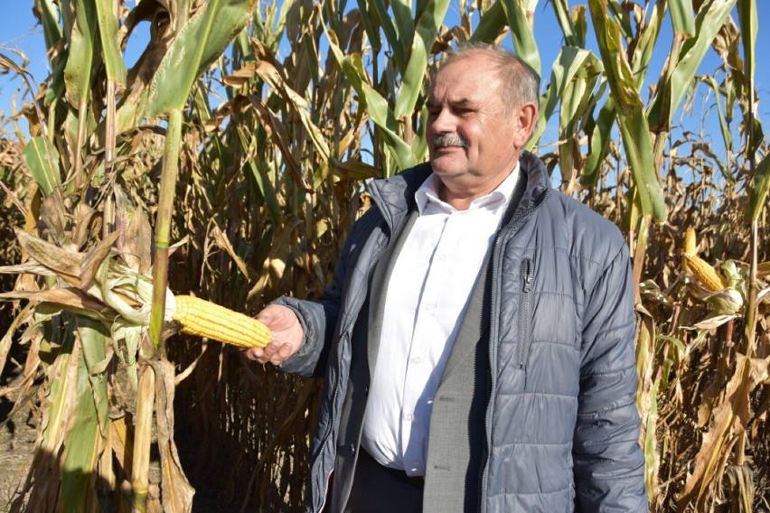 Tak było 20.10.2022 r. podczas Święta Kukurydzy w Budyniu