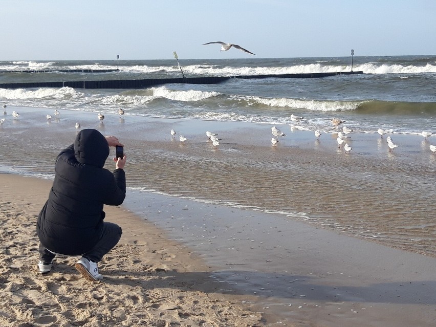 Weekendowy spacer po plaży w Kołobrzegu i wyremontowanej promenadzie