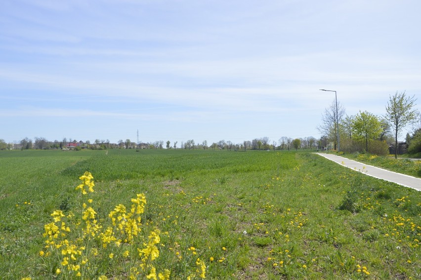 Malbork. Jak będą wyglądały mieszkania na wynajem z umiarkowanym czynszem? Koncepcję nowego osiedla przy Zakopiańskiej poznamy jesienią