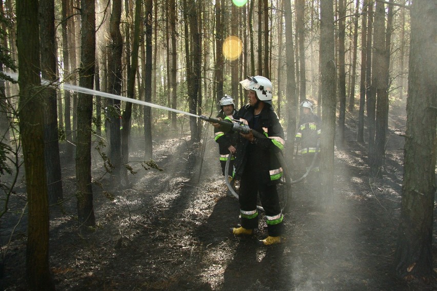 Las płonął we wsi Zaranna w gminie Strzelce [ZDJĘCIA]