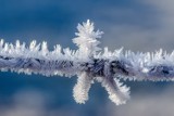 Uwaga! W nocy przyjdzie mróz. W Kujawsko-Pomorskiem będzie nawet minus osiem!