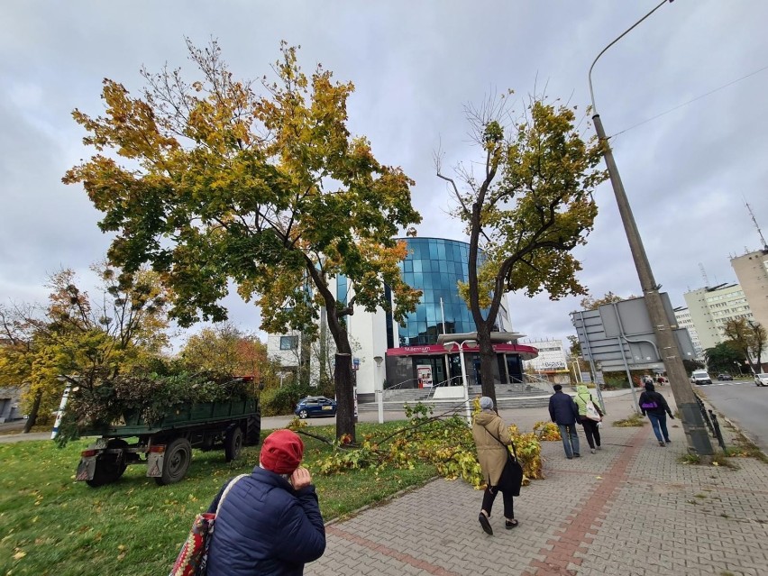 Początek tygodnia w naszym regionie był bardzo spokojny. We...