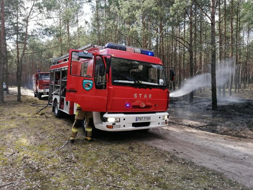 Seria pożarów lasów i nieużytków na terenie gminy Miedzichowo [ZDJĘCIA]