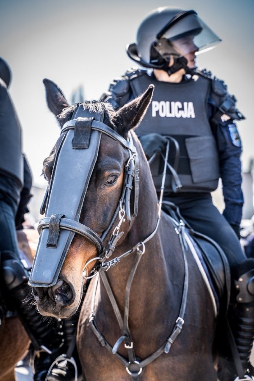Policyjne konie z Tomaszowa przeszły w Łodzi atestację przed nowym sezonem [ZDJĘCIA]